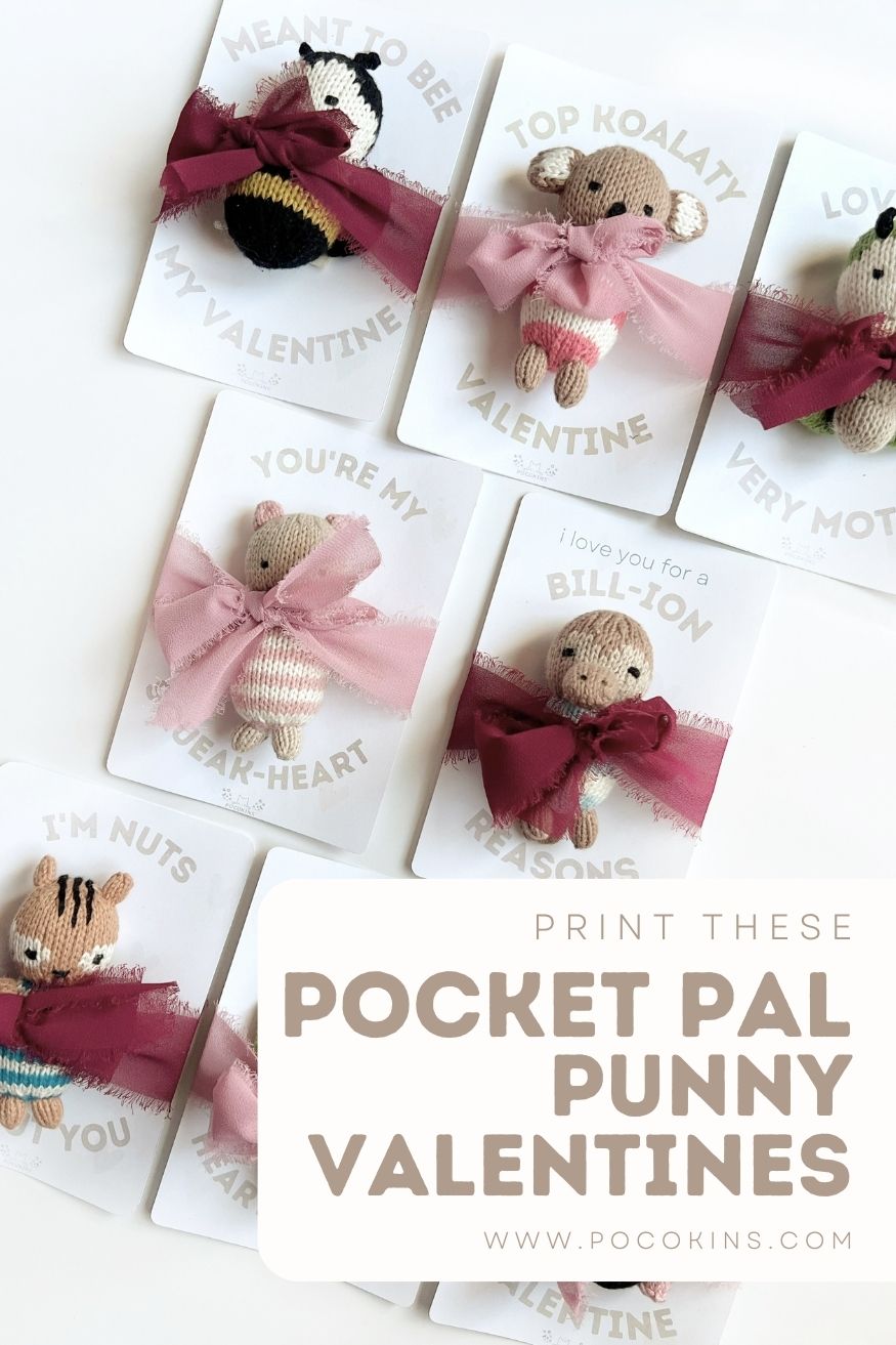 Free Punny Pocket Pal Valentines Printable